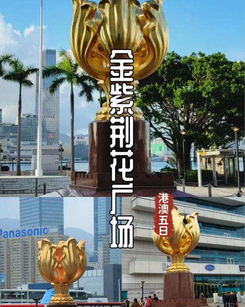 香港今晚六给彩开奖结果七十八,最佳精选数据资料_手机版24.02.60