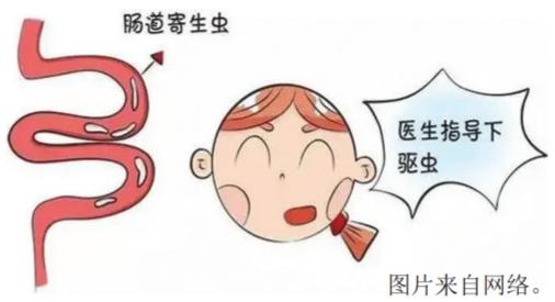 2025新澳门天天开奖结果和体重跟肠道也有关系与体重跟肠道也有关系吗