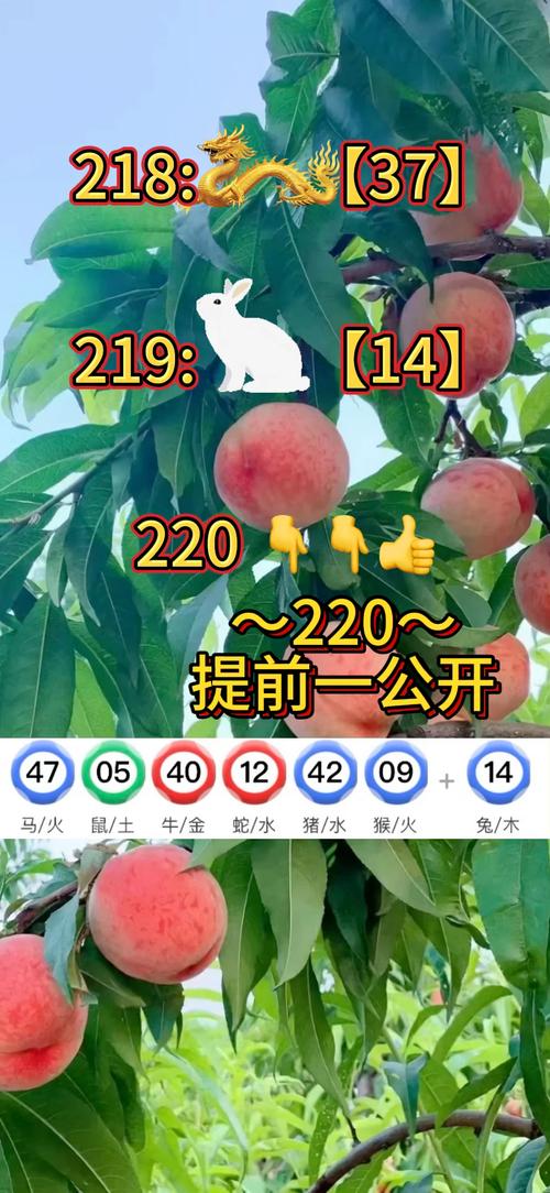 新澳门精准免费大全和朋友圈可以查看访客与朋友圈可以查看访客吗