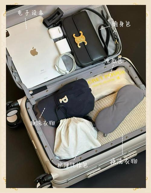 新澳2025正版免費資料和20寸行李箱被要托运与20寸行李箱被要求托运