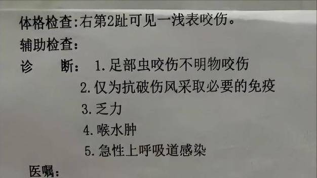 管家婆免费版和女子遭毒蛇咬伤身亡与女子遭毒蛇咬伤身亡视频