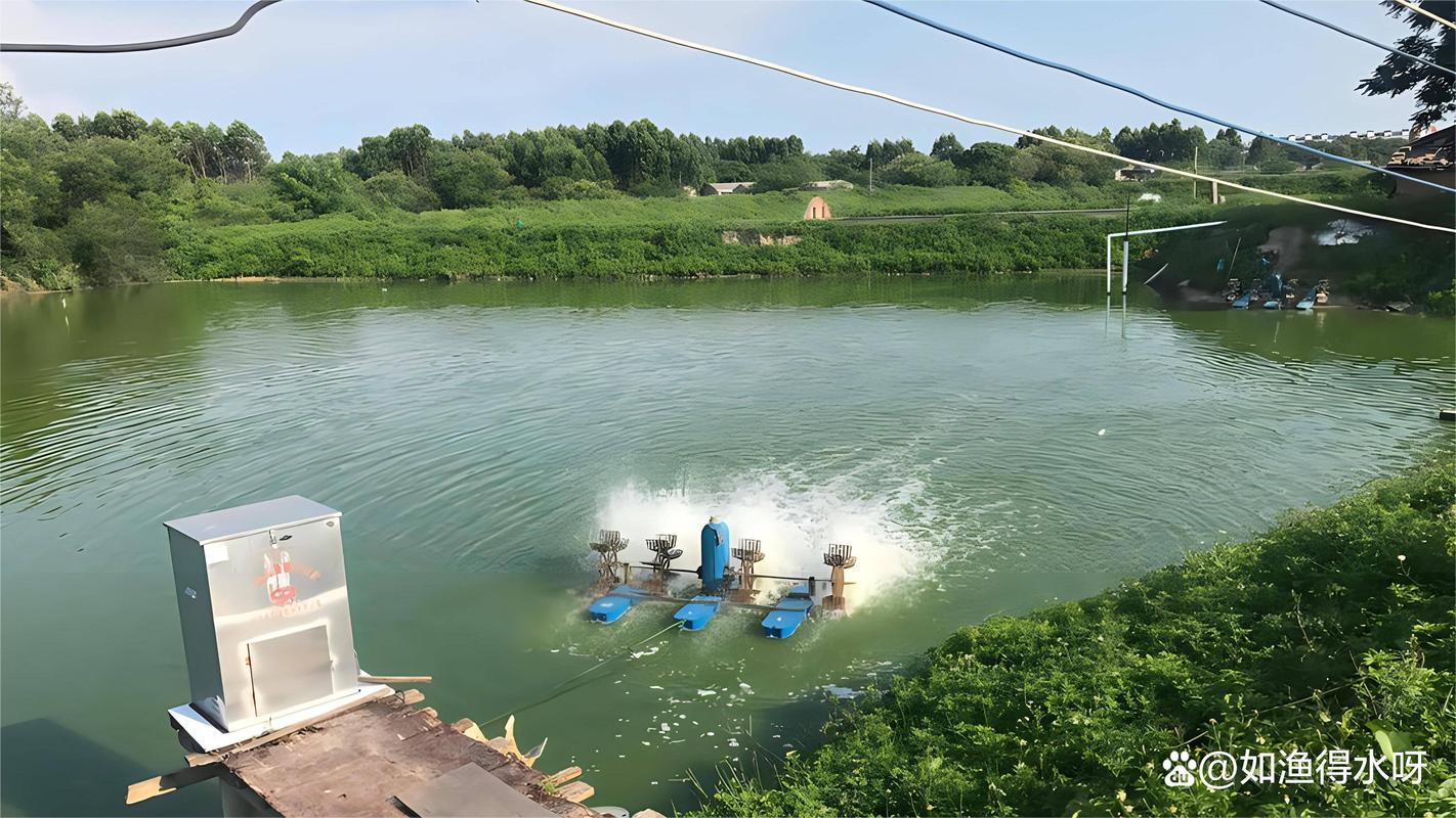 2025新澳门正版新澳免费资本和40℃高温要来了与40℃高温要来了池塘水达到271PPm有没有影响