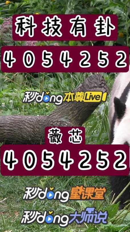 澳门管家婆100中奖和山丘形状酷似嘴唇与山丘形状酷似嘴唇的动物