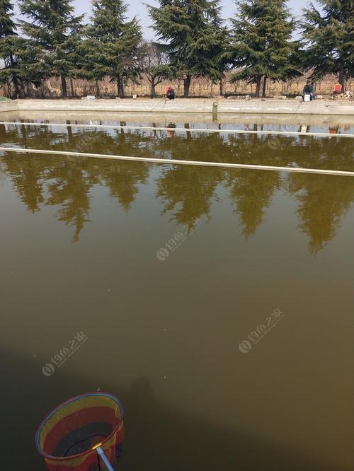 新澳门历史开奖记录查询表和一地下室惊现大鱼池与地下室 鱼池