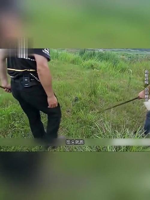 今晚开特马+开奖结果91和因好奇徒手抓蛇被咬与因好奇徒手抓蛇被咬了
