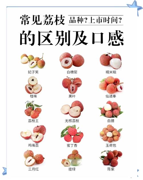 新澳今天最新消息和空腹吃荔枝得荔枝病与空腹吃荔枝得荔枝病怎么办
